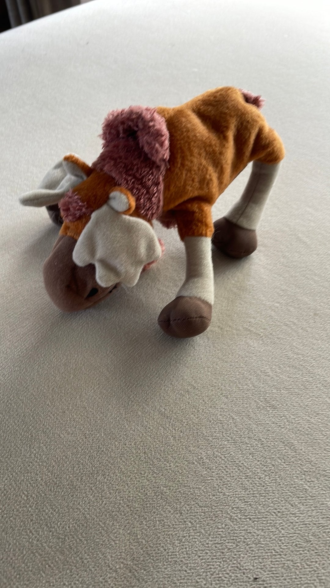 Eland, Ophalen of Verzenden, Zo goed als nieuw, Stoffen beer, Overige merken