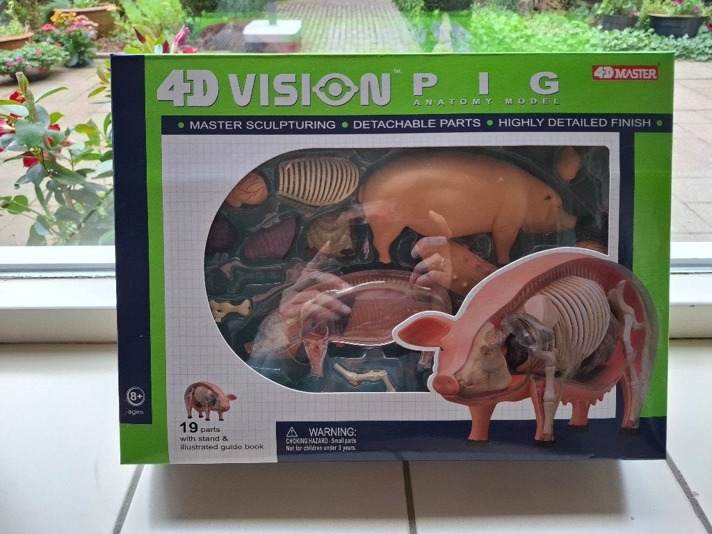 4D vision Pig / Varken - Anatomy Model, Ophalen of Verzenden, Zo goed als nieuw