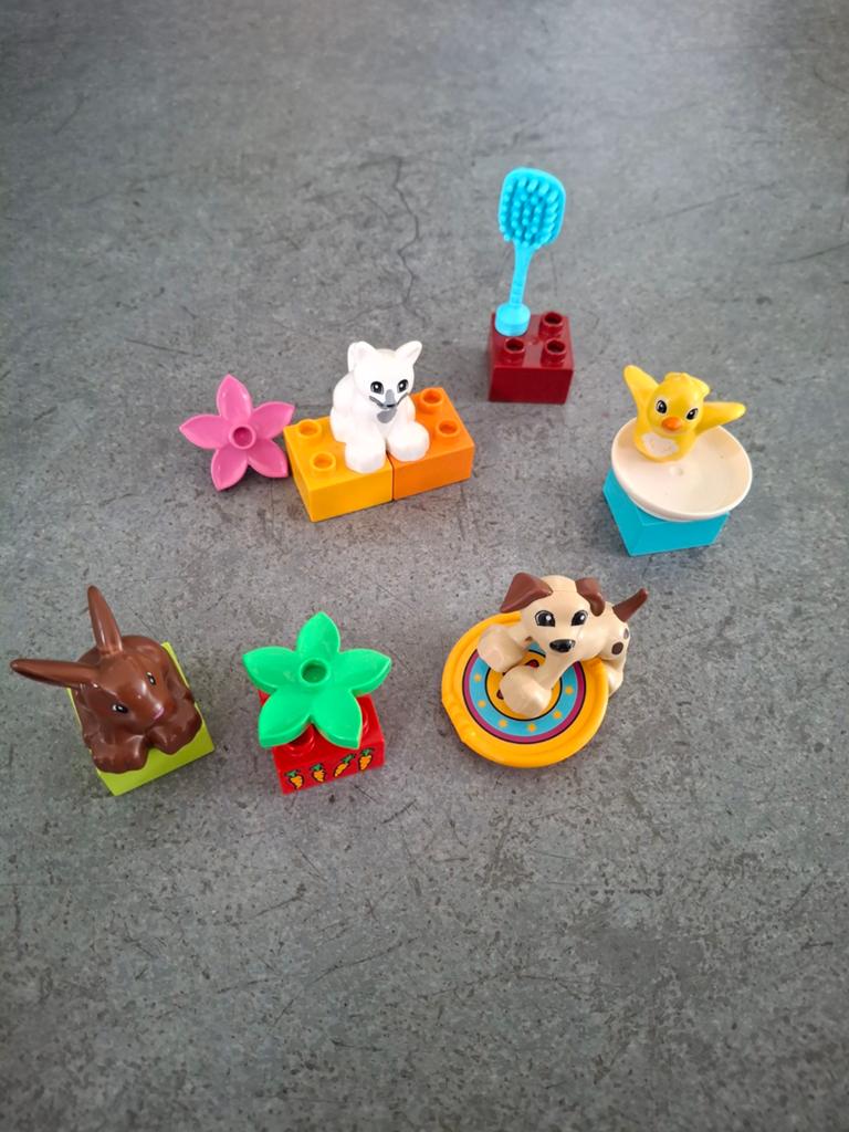Lego Duplo dieren 10838, Ophalen of Verzenden, Gebruikt, Overige merken