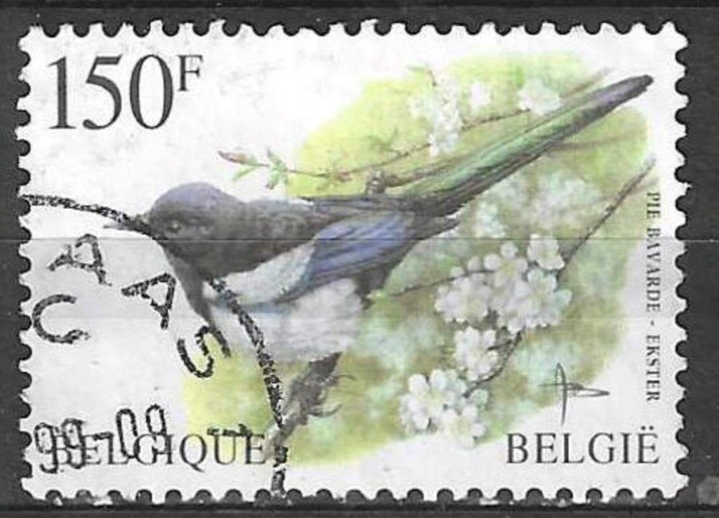 Belgie 1997 - Yvert 2696 /OBP 2697 - Buzin - Ekster (ST), Verzenden, Gestempeld, Voertuigen