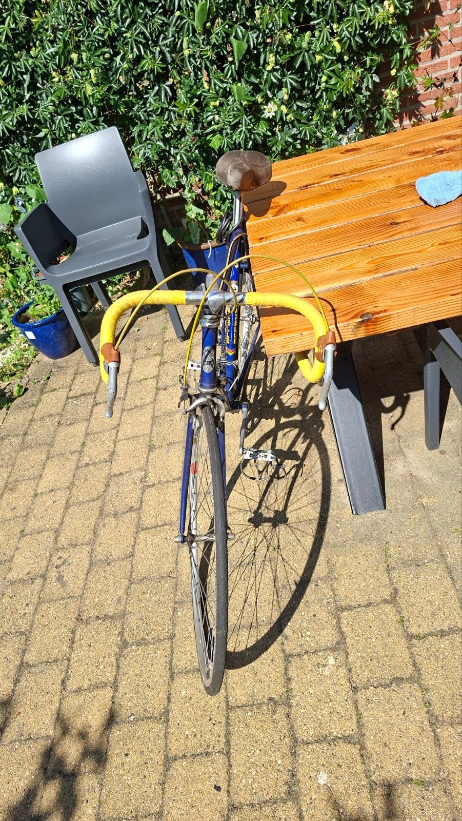 Gazelle racefiets Champion Mondial, Ophalen, Gebruikt