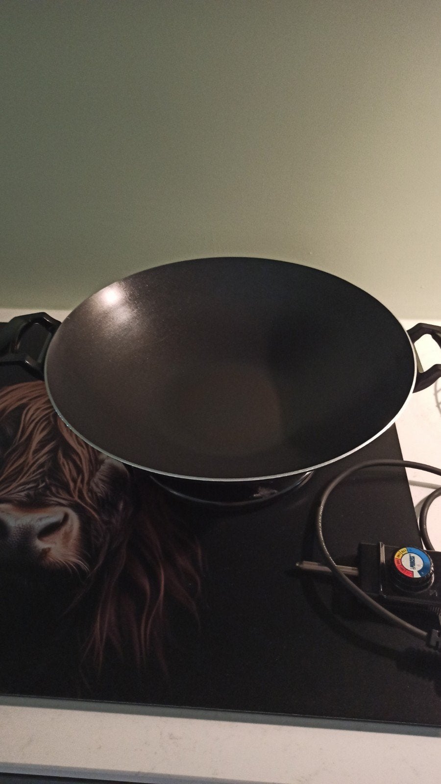 Grote elektrische wok, Ophalen, Zo goed als nieuw, Wok