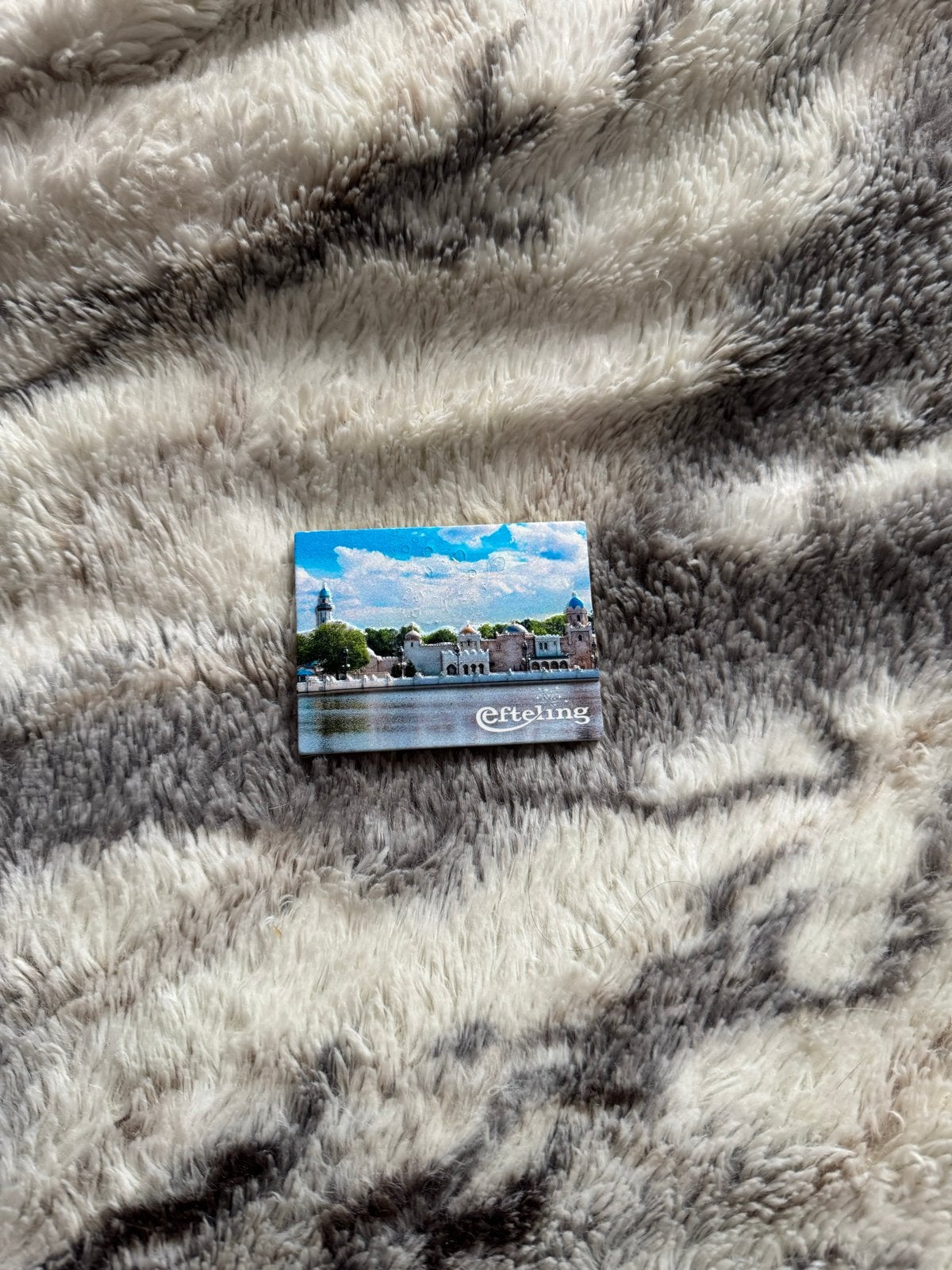 Efteling Magneet, Ophalen of Verzenden, Zo goed als nieuw, Gebruiksvoorwerp