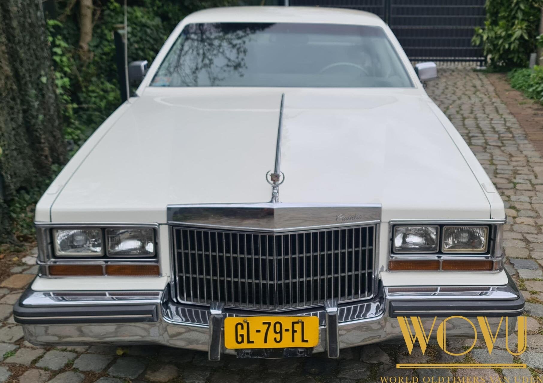 Cadillac Seville diesel 1980, foto 11