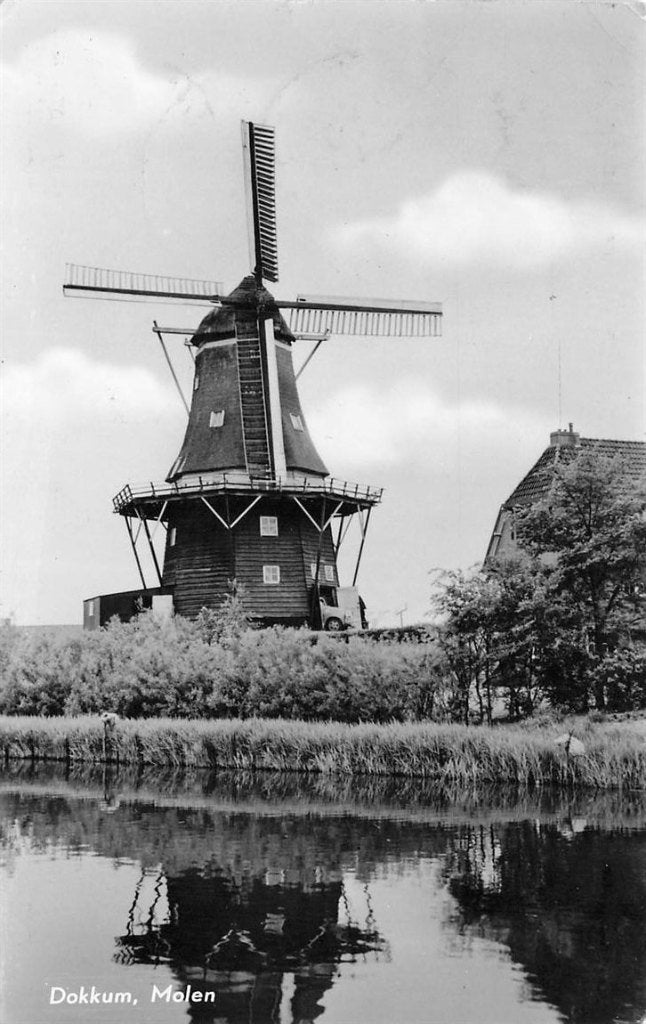 703-021-019 Dokkum Molen, Verzenden, Voor 1920, Friesland