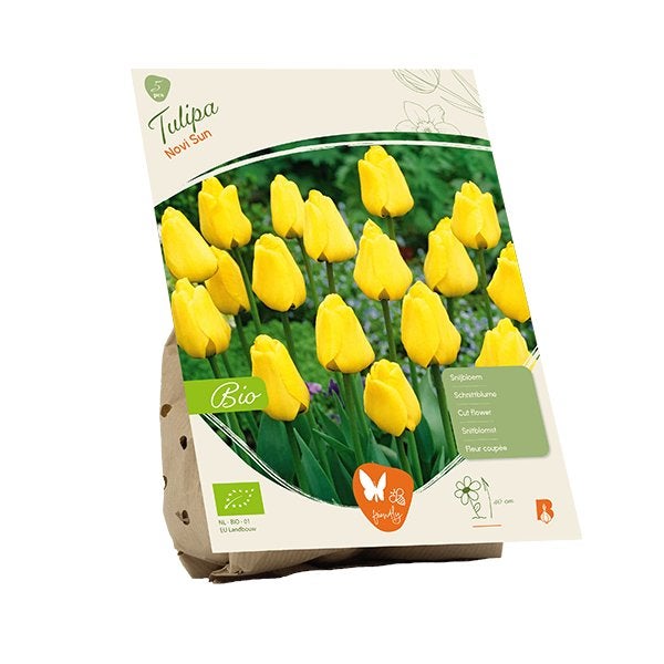 Tulp (Tulipa Novi Sun) BIOLOGISCH, Ophalen of Verzenden, Najaar, Volle zon, Bloembol