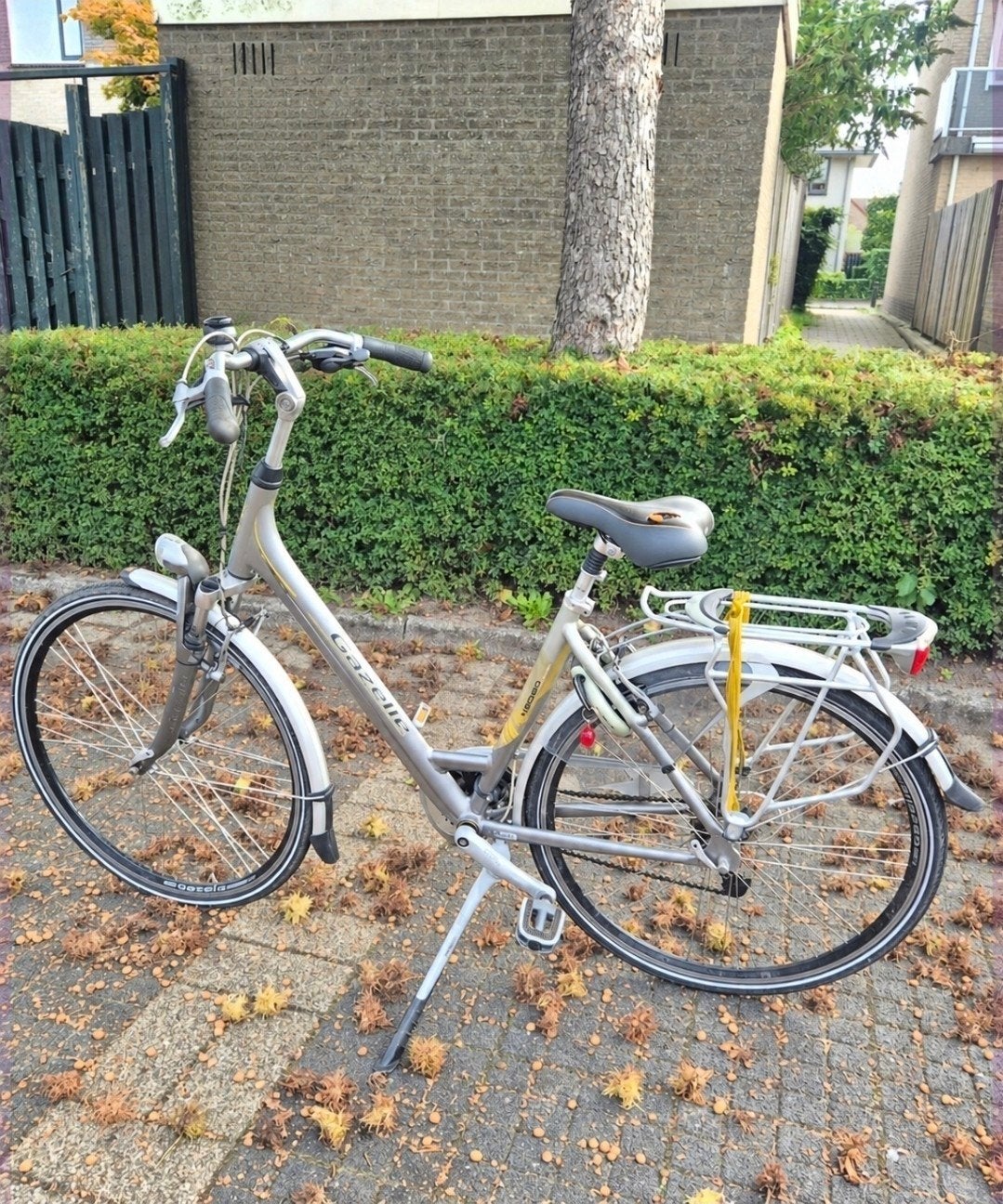 Gazelle Medeo Limited Edition Damesfiets, Ophalen, Velgrem, Versnellingen, Gazelle
