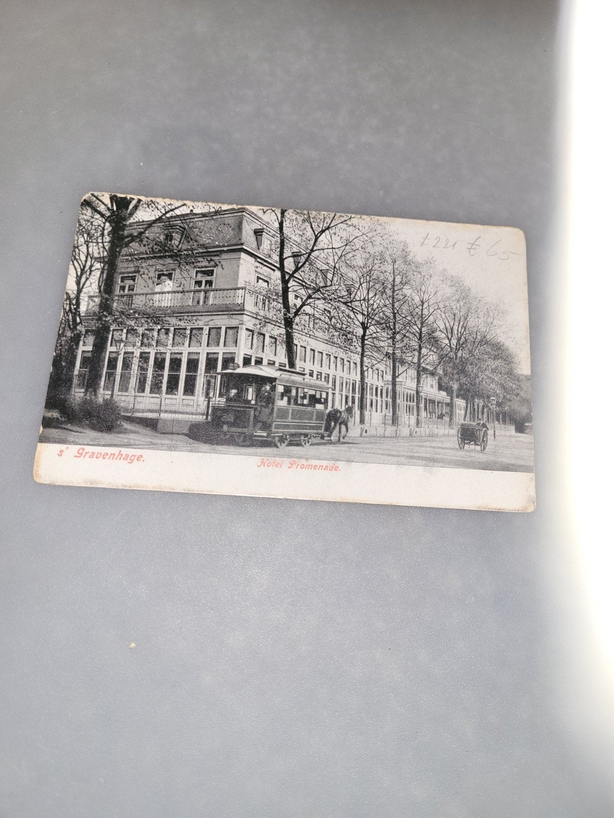 ansichtkaart 's gravenhage hotel promenade, Ophalen of Verzenden, Voor 1920, Zuid-Holland
