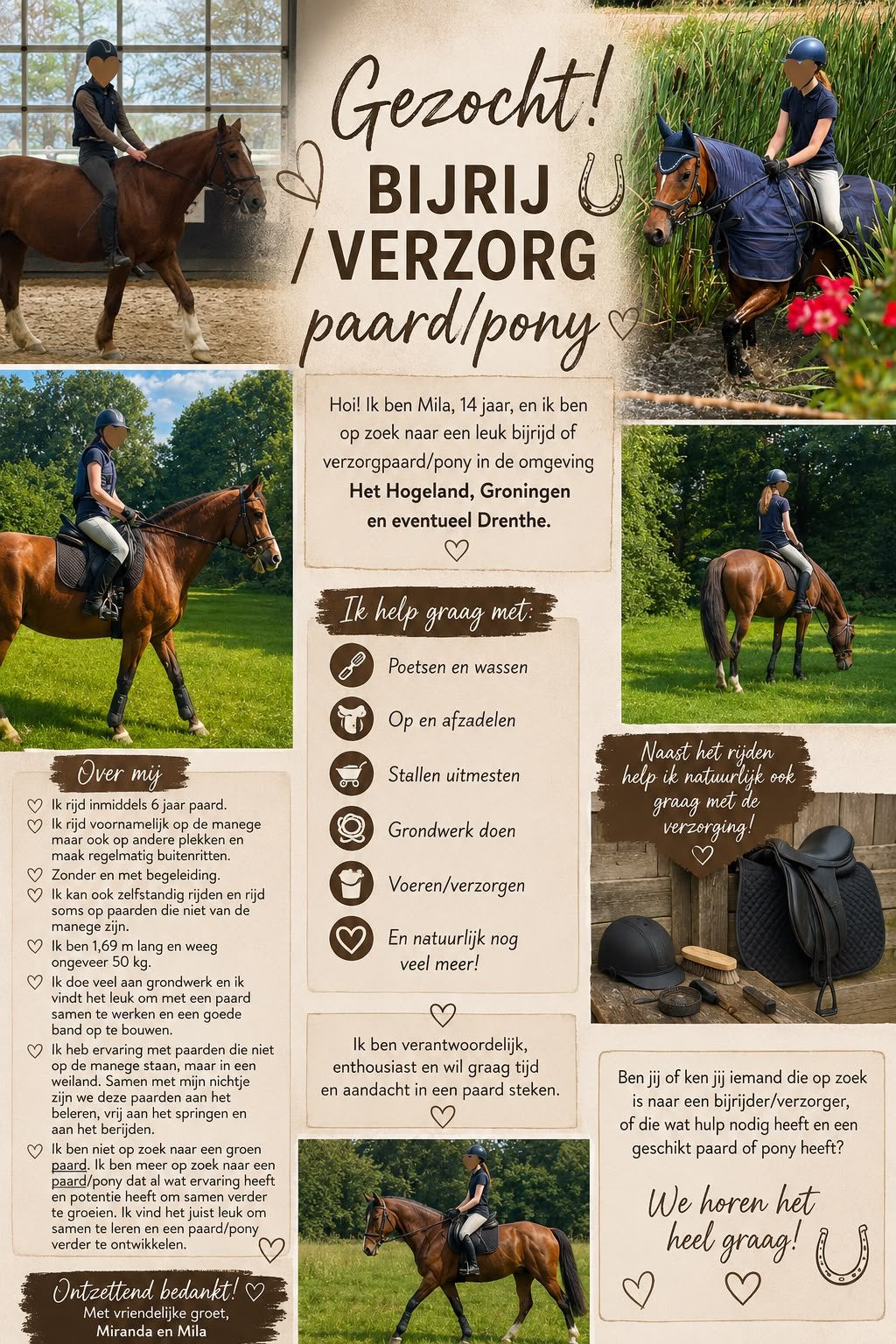VERZORG/BIJRIJ PAARD GEZOCHT, Overige merken, Ophalen of Verzenden, Nieuw, Overige typen