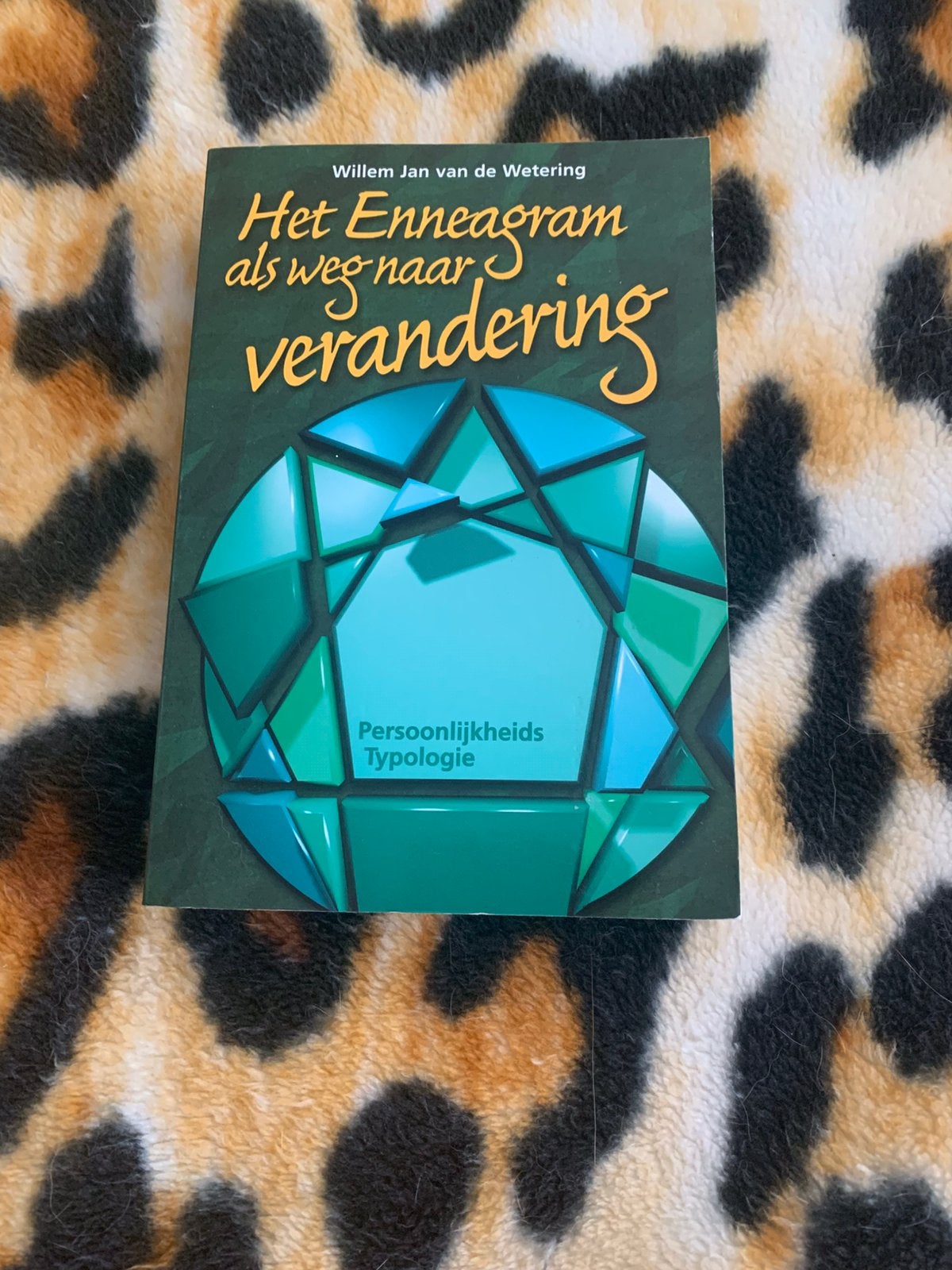 Het enneagram als weg naar verandering, Boeken, W.J. van de Wetering, Ophalen of Verzenden, Ontwikkelingspsychologie, Zo goed als nieuw