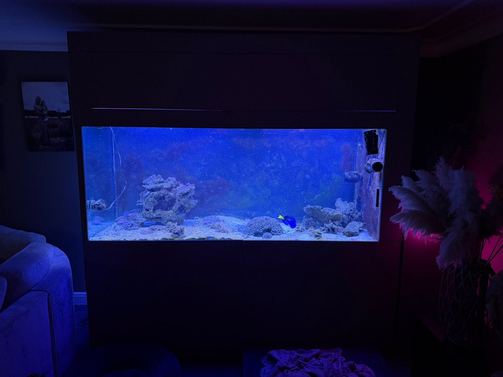 Zee aquarium, Dieren en Toebehoren, Vissen | Aquaria en Toebehoren, Ophalen of Verzenden, Leeg aquarium