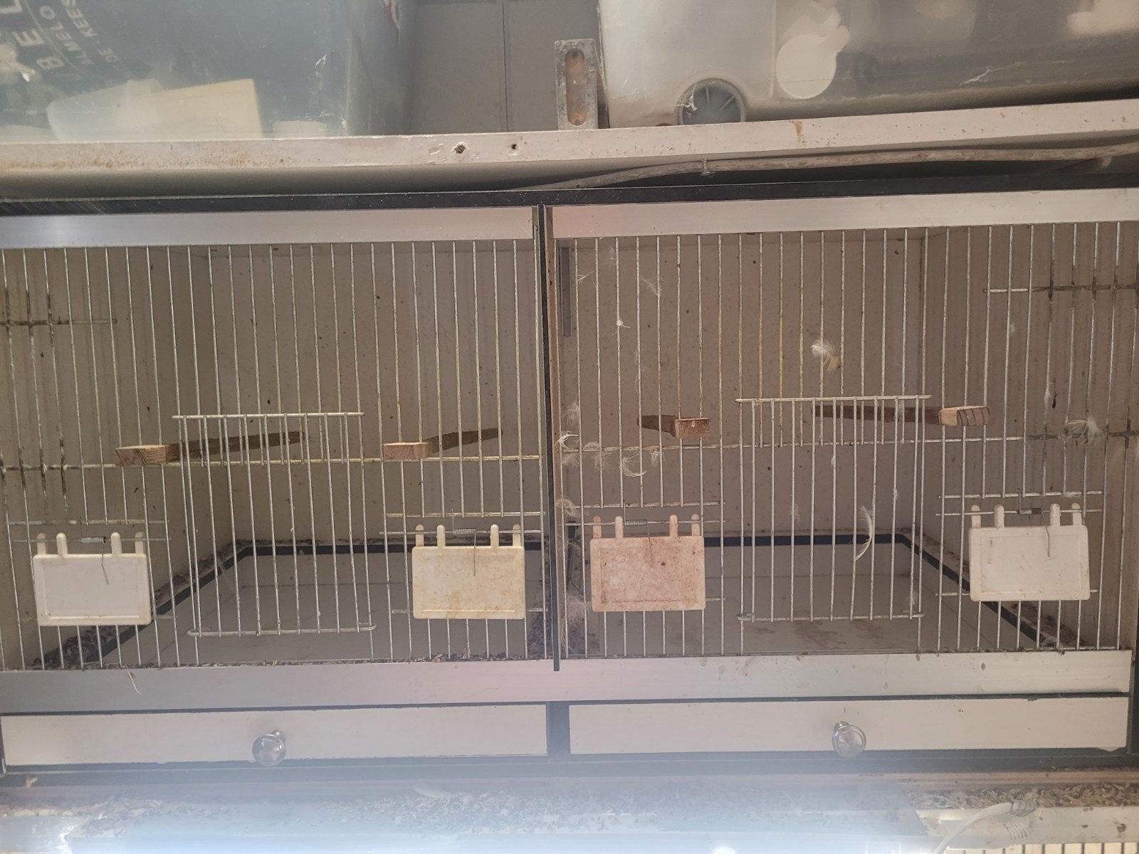 een trespa kooi van 80x40, Dieren en Toebehoren, Vogels | Hokken en Kooien, Ophalen of Verzenden, Zo goed als nieuw, Aluminium