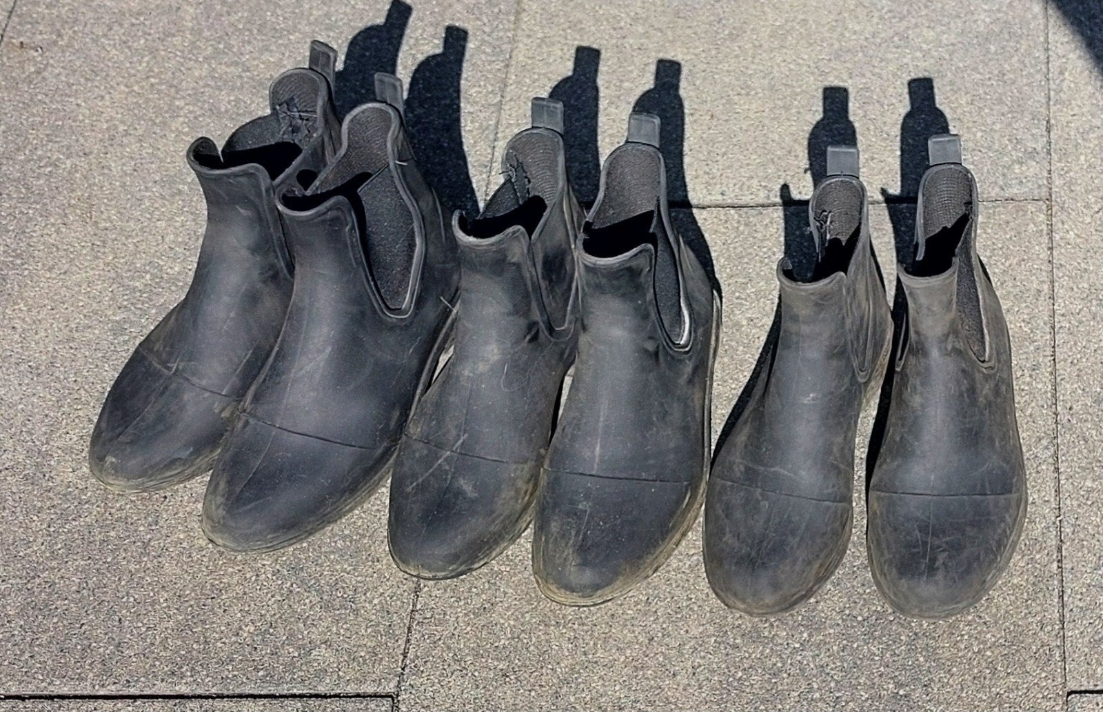 fouganza johdpurs 38/40/41, Dieren en Toebehoren, Ophalen of Verzenden, Dressuur, Schoeisel
