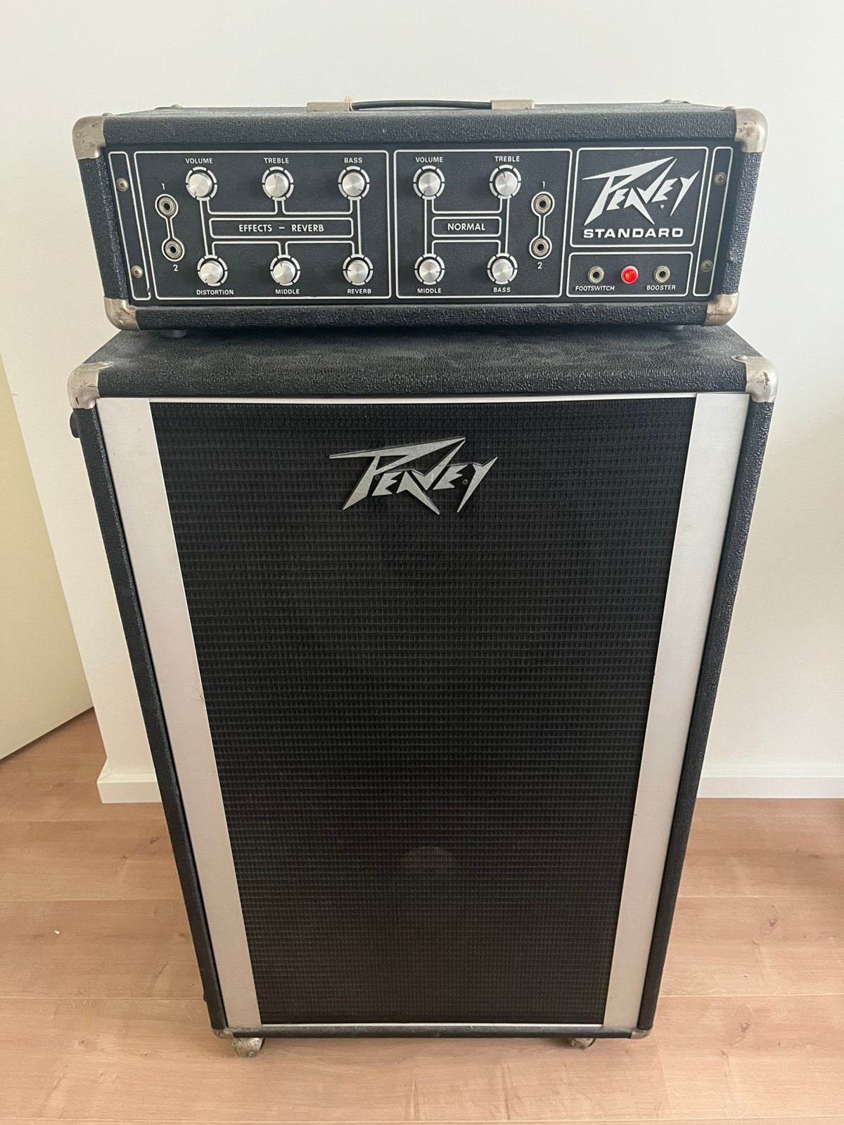 Peavey Standard Series 260 + Peavey 215 Versterker (USA), Muziek en Instrumenten, Versterkers | Bas en Gitaar, Ophalen, Zo goed als nieuw
