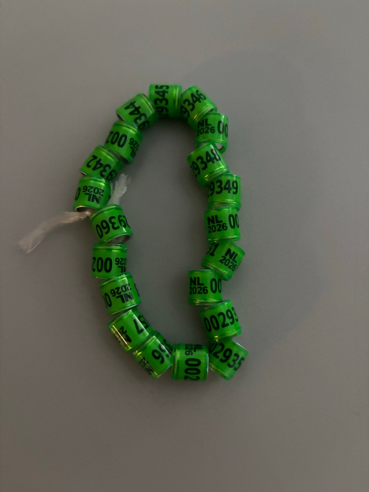 20 stuks Postduiven duivenringen 2026, Postduif