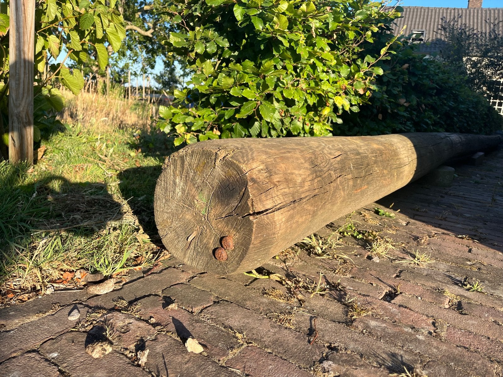 Telefoonpaal 8.10m - Robuuste houten paal, Gebruikt, Overige typen, Overige houtsoorten, Ophalen