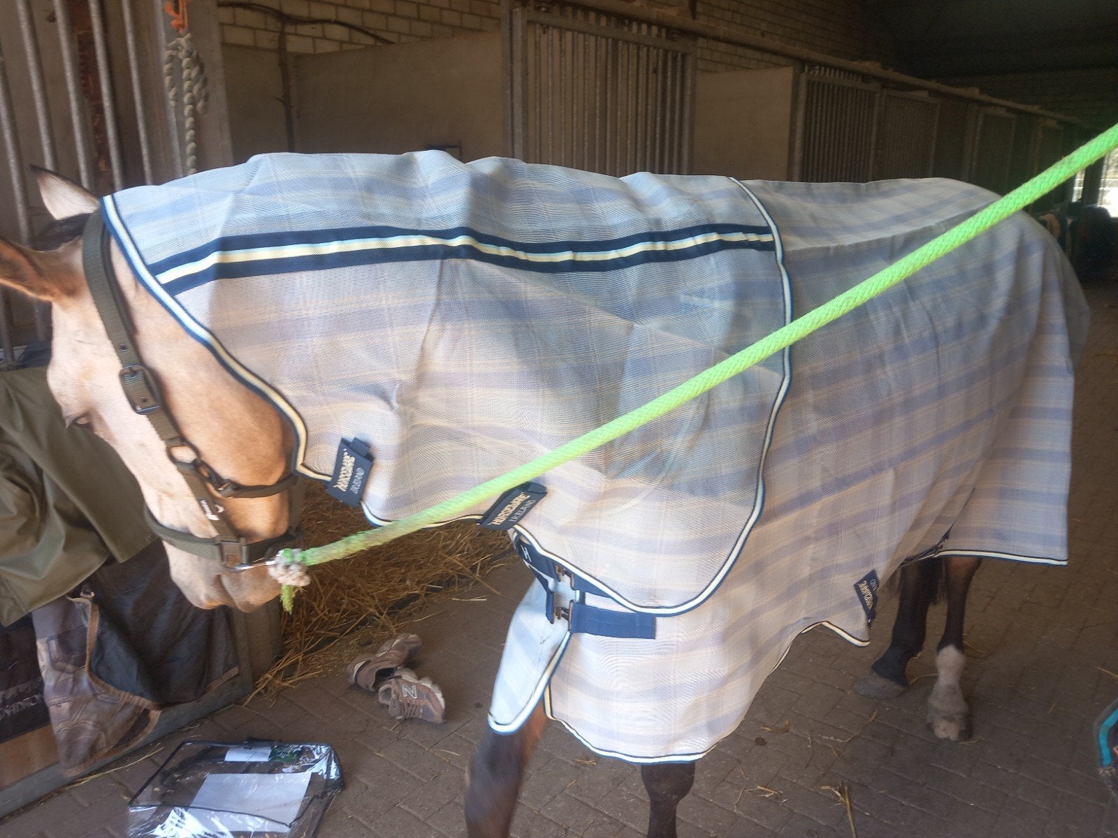 Newmarket horseware vliegendeken plus 205 6.9 6,9, Afneembare hals, Wit, Ophalen of Verzenden, Zo goed als nieuw