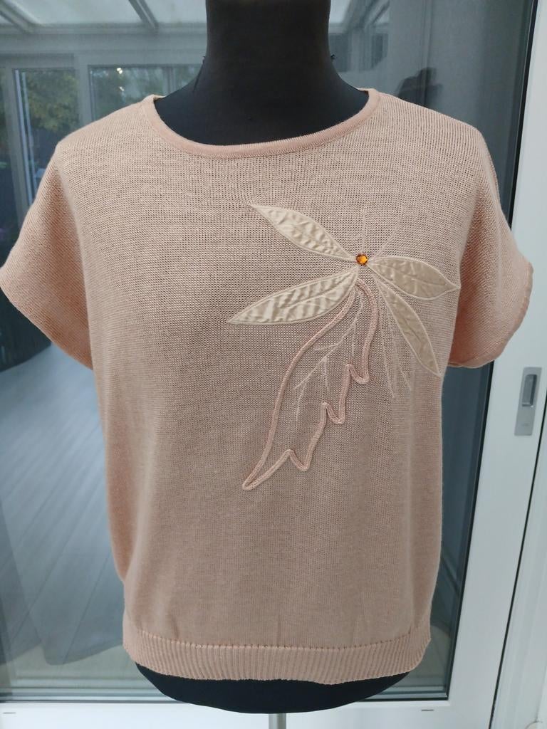 Germaine Nieuw Zalm Shirt Maat 46, Kleding | Dames, T-shirts, Nieuw, Maat 46/48 (XL) of groter, Roze, Korte mouw, Ophalen of Verzenden