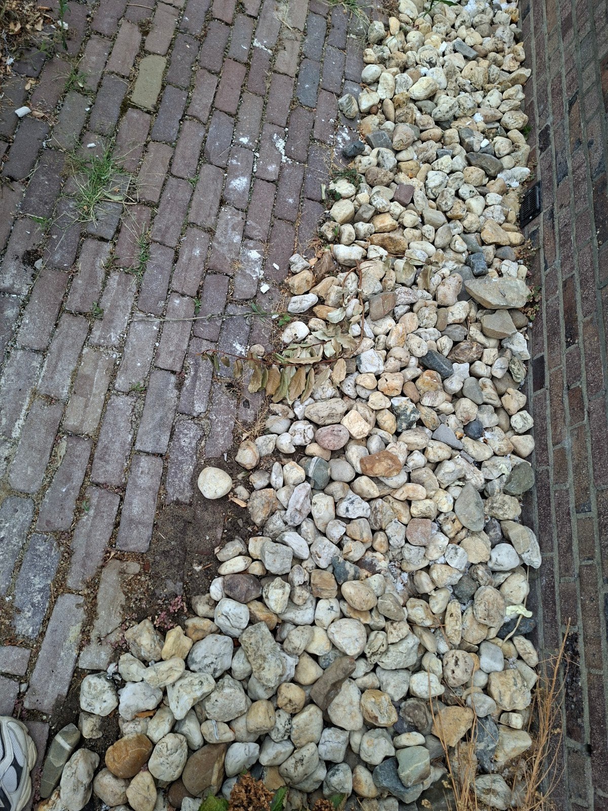 Decoratieve rivierkeien en rotsen voor tuin of decoratie, Tuin en Terras, Ophalen, Overige materialen, Gebruikt, Kei