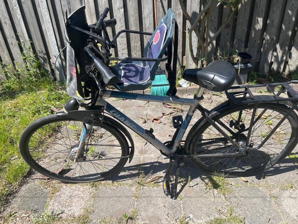 Giant fiets met kinderzitje en windscherm, Fietsen en Brommers, Ophalen, Velgrem, Versnellingen, Giant