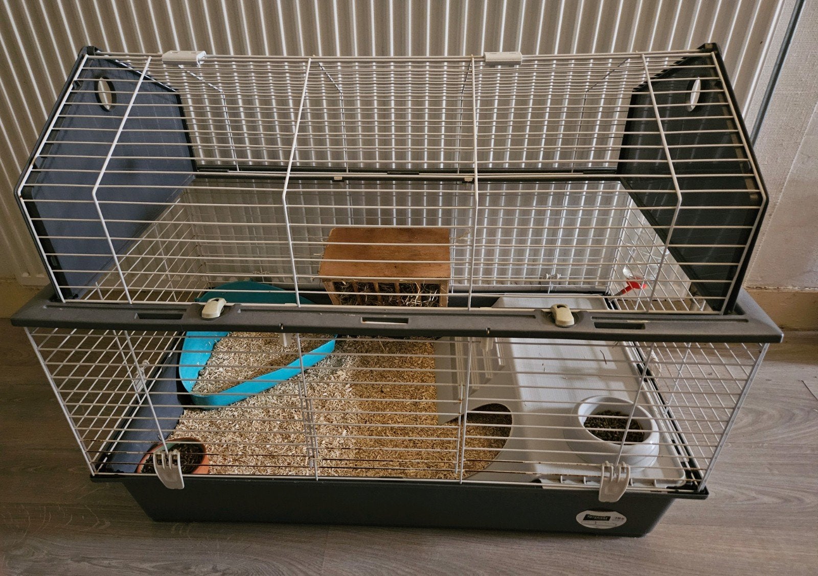 Cavia Bobo van 14/15 weken met verblijf zoekt een thuis!, Dieren en Toebehoren, Cavia, Februari, Mannelijk, Tam