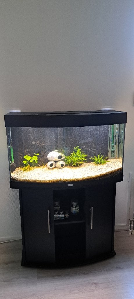 Juwel vision 180 aquarium, Ophalen, Gebruikt, Inclusief vissen, Gevuld zoetwateraquarium