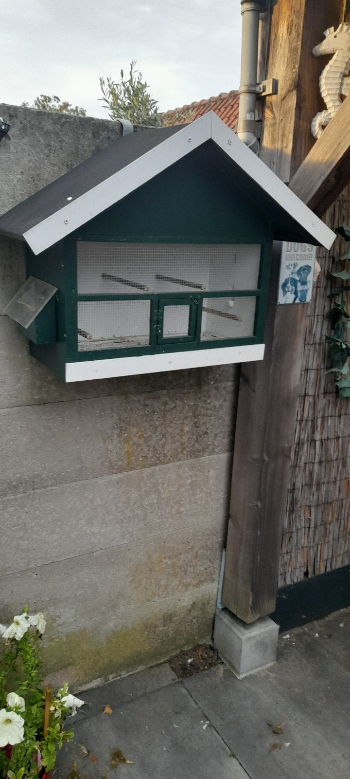 te koop mooie ruime kooien, Ophalen of Verzenden