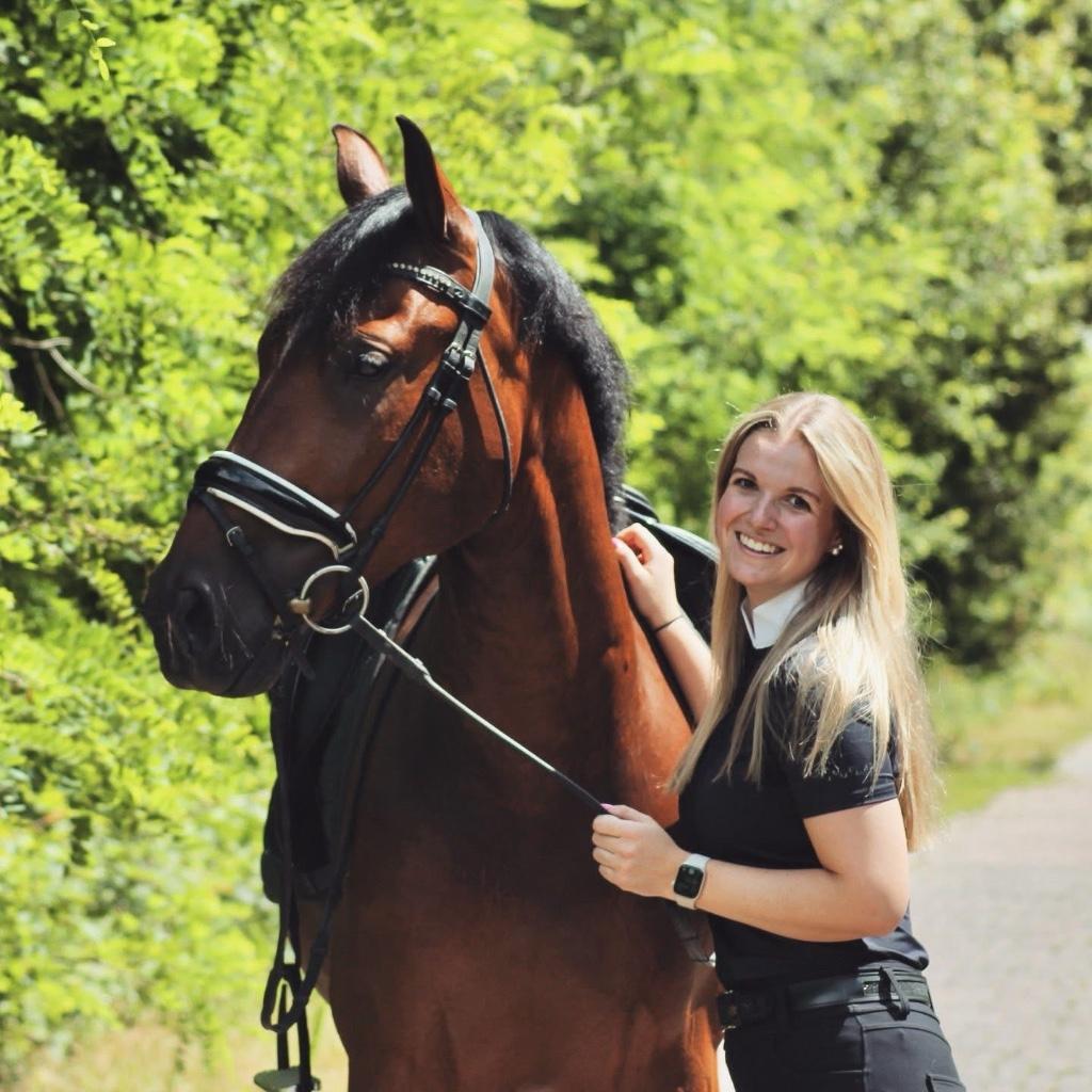 9-jarige dressuur PRE ruin van 1m62 braaf allround, Dieren en Toebehoren, Paarden, Ruin, Dressuurpaard, 7 tot 10 jaar, 160 tot 165 cm