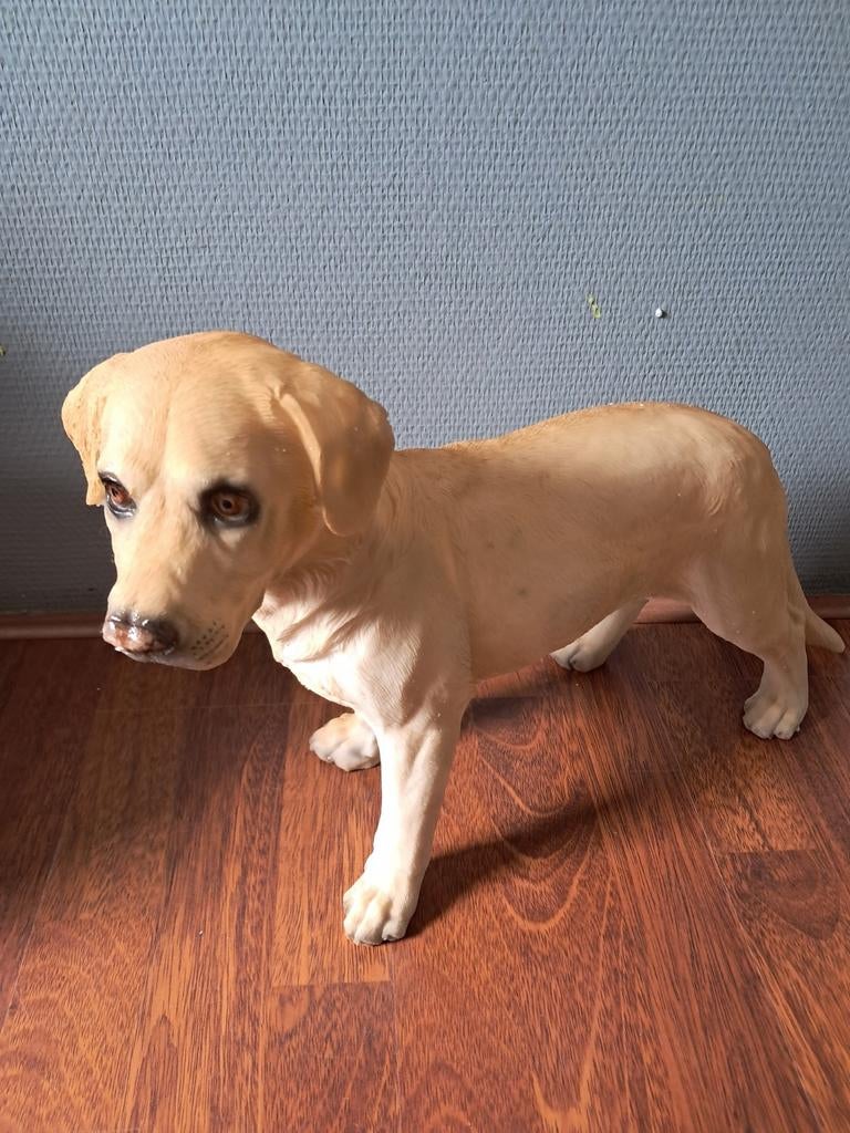 Mooi beeld van de blonde labrador, Verzamelen, Beelden en Beeldjes, Ophalen of Verzenden, Nieuw, Dier