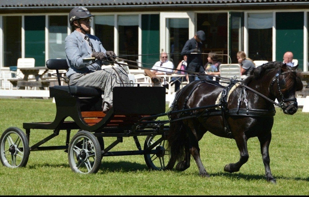 Superlicht en leuk wagentje voor shetlander A pony ongeremd, Dieren en Toebehoren, Gebruikt, Overige typen, Pony, Gesloten