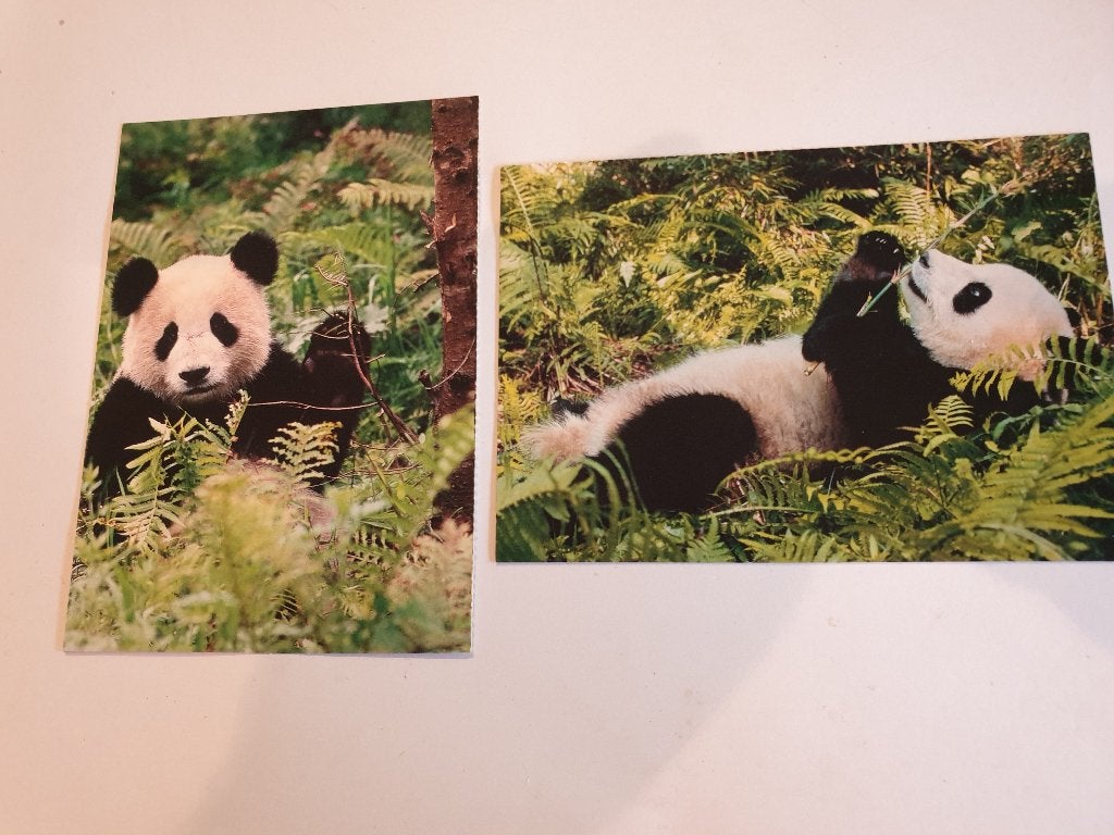 3315 panda beren wnf uitgave, Verzamelen, Verzenden, 1980 tot heden, Overige soorten