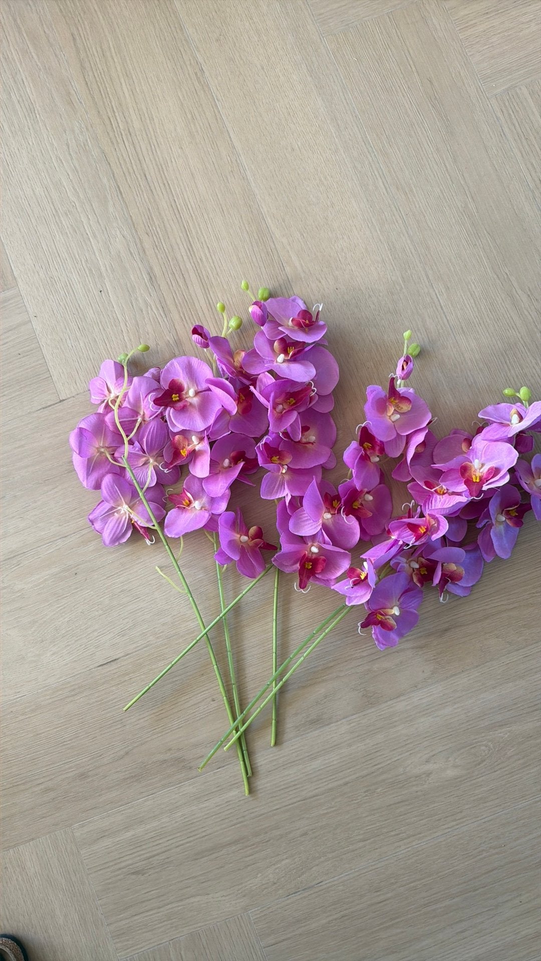 Nep orchideeën in roze kleur 6 stuks, Ophalen, Gebruikt