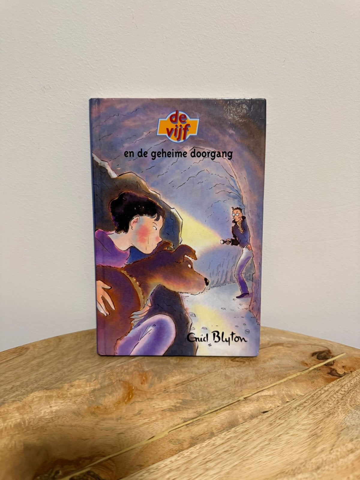 Enid Blyton – De Vijf en de geheime doorgang – deel 2 – 2002, Ophalen of Verzenden, Zo goed als nieuw