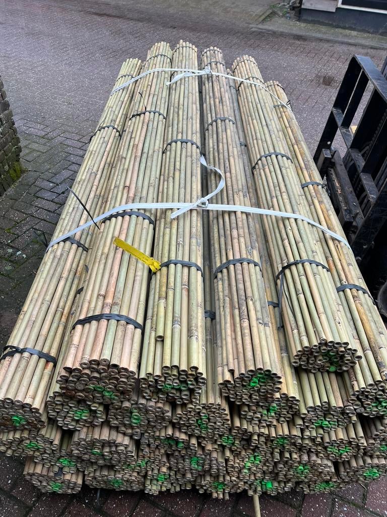Bonenstokken nieuw Tonkin plantensteun bamboestokken, Nieuw, Ophalen of Verzenden