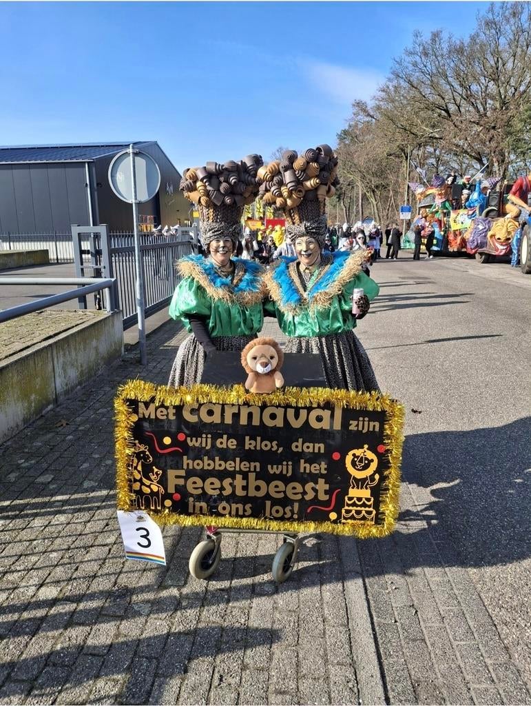 Carnavals duo voor optocht, Ophalen, Carnaval, Maat 42/44 (L), Zo goed als nieuw