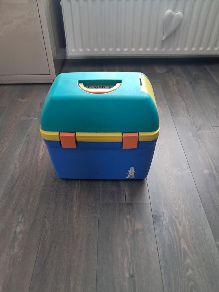 frigobox electrische koelbox voor auto/caravan, Ophalen of Verzenden, Elektrisch