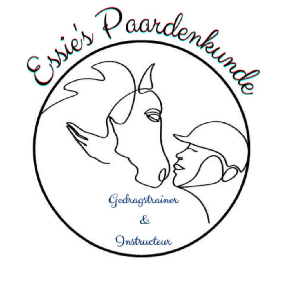 Gedragstraining Paarden, Gedragstraining