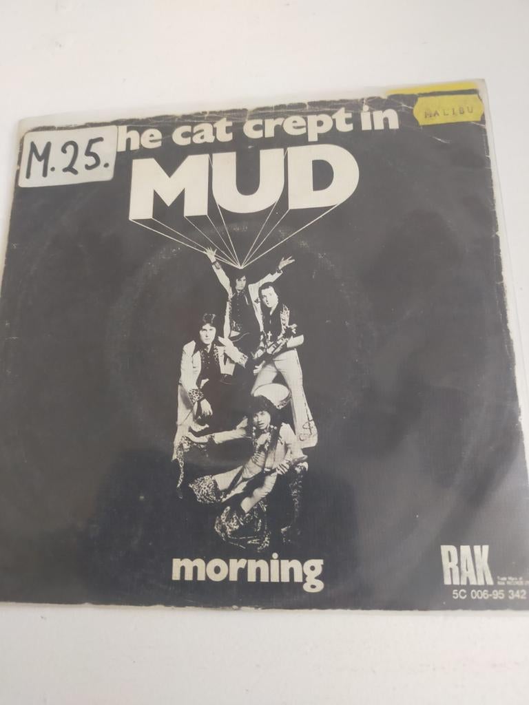 Mud , the Cat crept in, Cd's en Dvd's, Vinyl Singles, Ophalen of Verzenden, Zo goed als nieuw, Pop