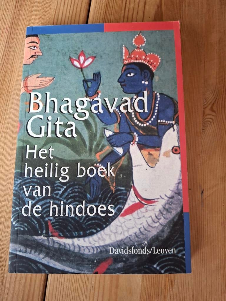 G. Staes - Bhagavad Gita, Boeken, Ophalen of Verzenden, Gelezen, G. Staes