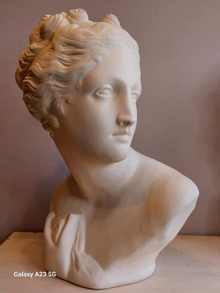 Groot borstbeeld van Venus klassiek Grieks begin 20e eeuw, Antiek en Kunst, Kunst | Beelden en Houtsnijwerken, Ophalen of Verzenden