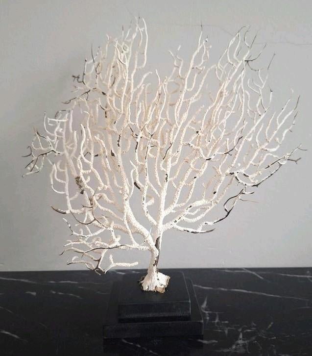 Gaaf creme kleurig ornament op zwarte voet japandi chique, Huis en Inrichting, Nieuw, Ophalen of Verzenden, X, X