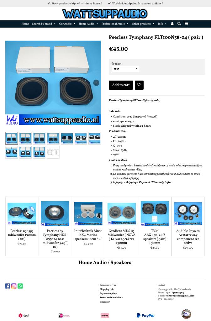 Peerless Tymphany FLT100N38-04 Speakers ( set van 2 ), Overige merken, Gebruikt, ., Overige typen