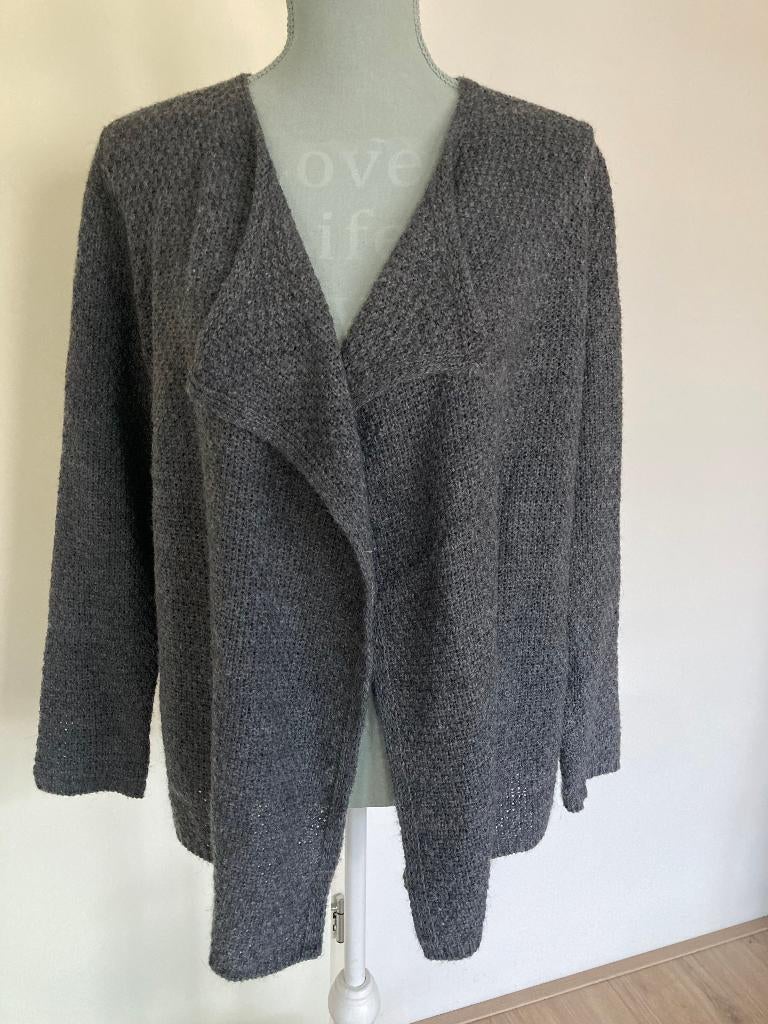 Antracietgrijs vest - Gerry Weber, Maat 38/40 (M), Ophalen of Verzenden, Grijs, Gedragen