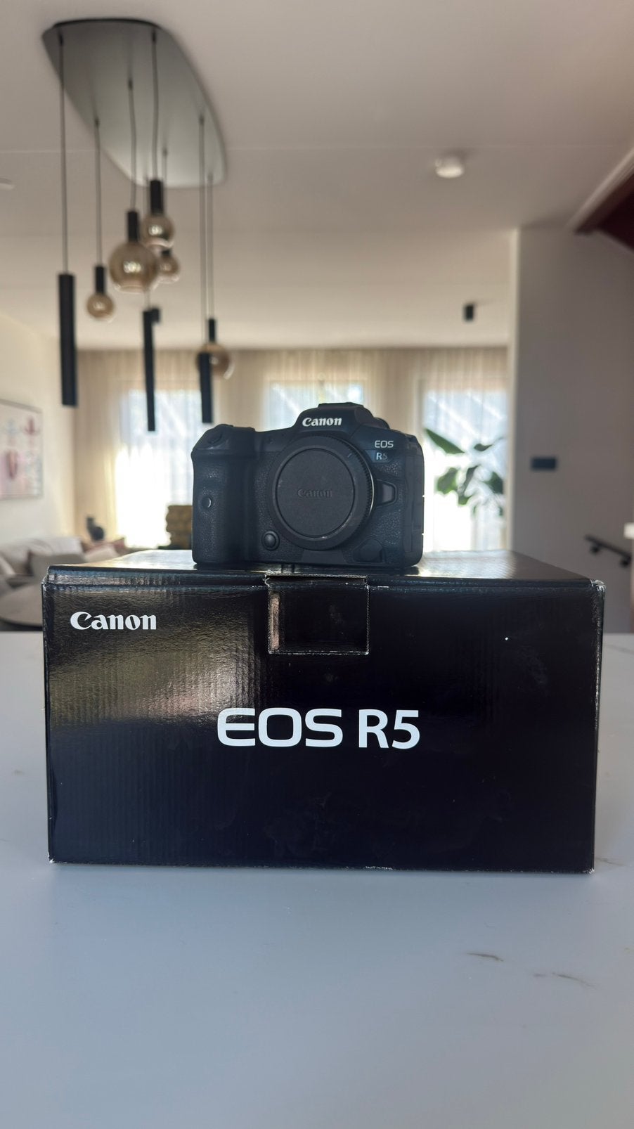 Canon EOS R5 Body - 45 Megapixel - 8K - 382.867 clicks, Audio, Tv en Foto, Fotocamera's Digitaal, Gebruikt, Canon, Draagriem, 45 megapixels