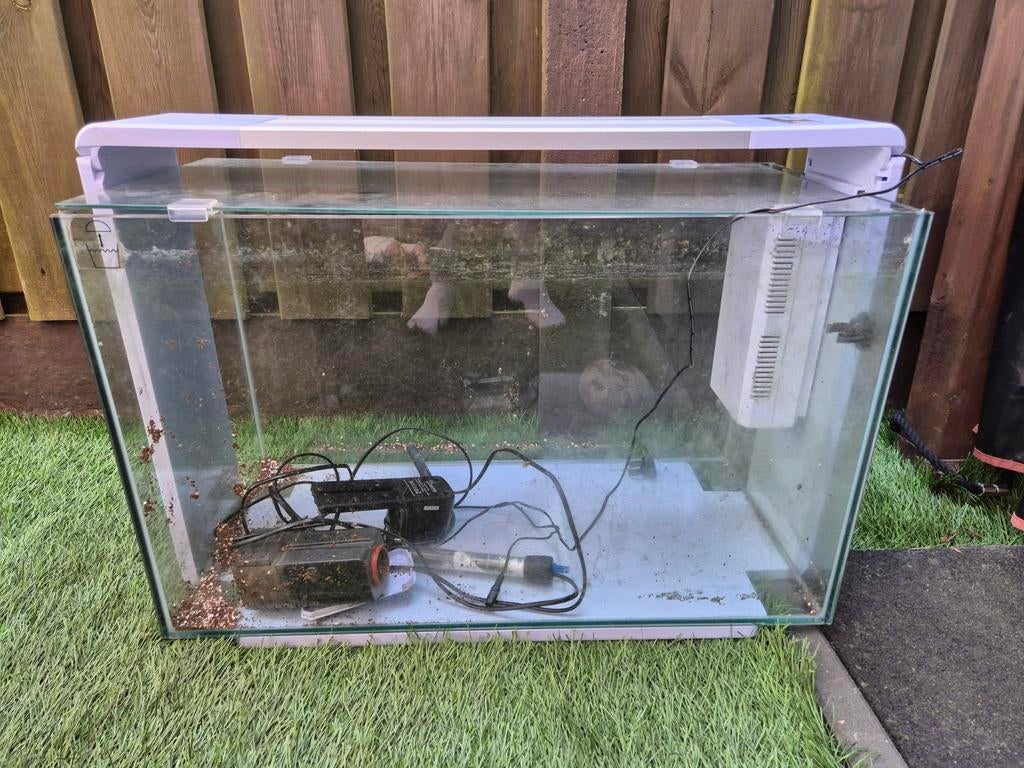 Aquarium superfish 110 liter, Karper of Koi