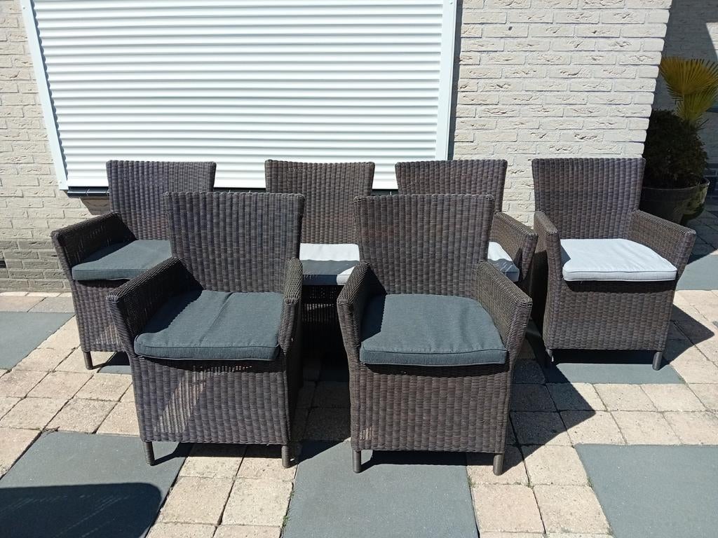 6x wicker tuinstoel incl kussens
