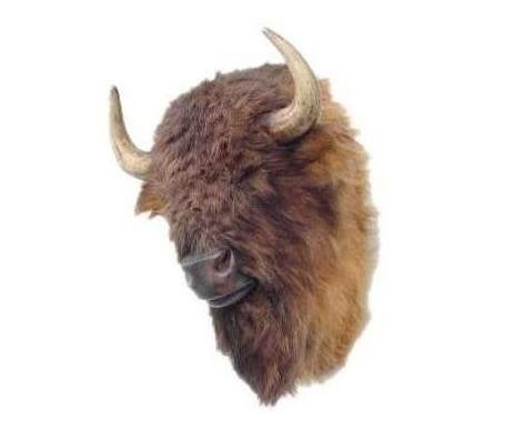 Bison Head American - Bizon decoratie 81 cm, Verzamelen, Dierenverzamelingen, Ophalen, Nieuw, Overige typen
