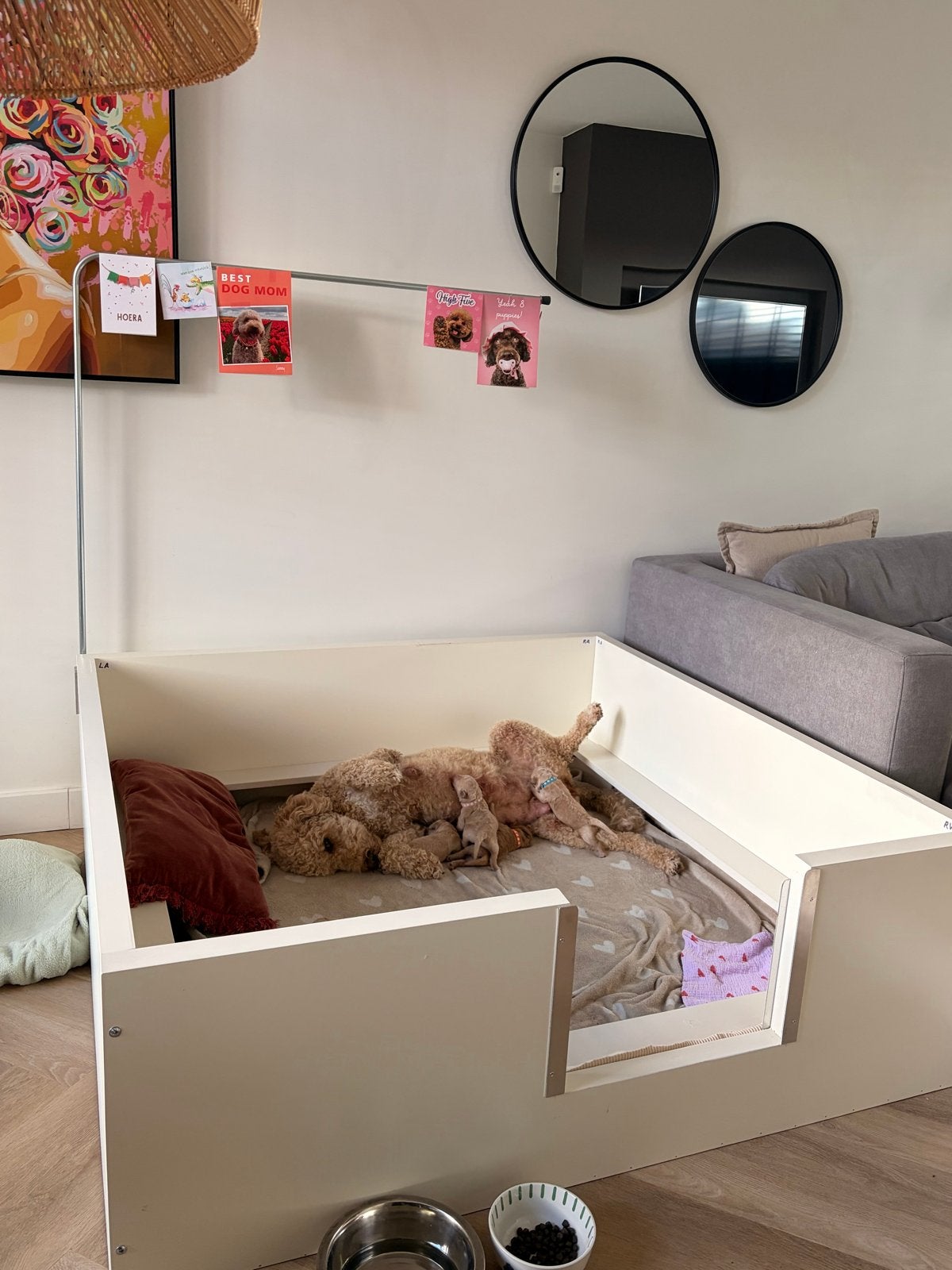 Werpkist 140x140 cm, Dieren en Toebehoren, Ophalen, Zo goed als nieuw