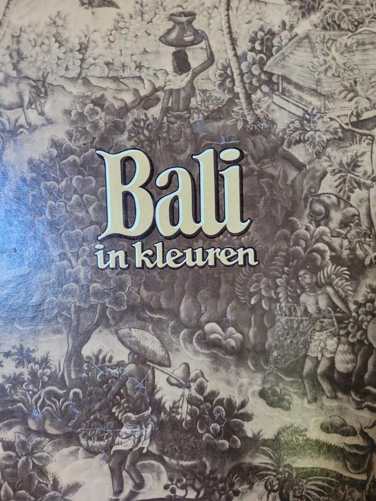 Bali, Ophalen of Verzenden, Gelezen, Azië