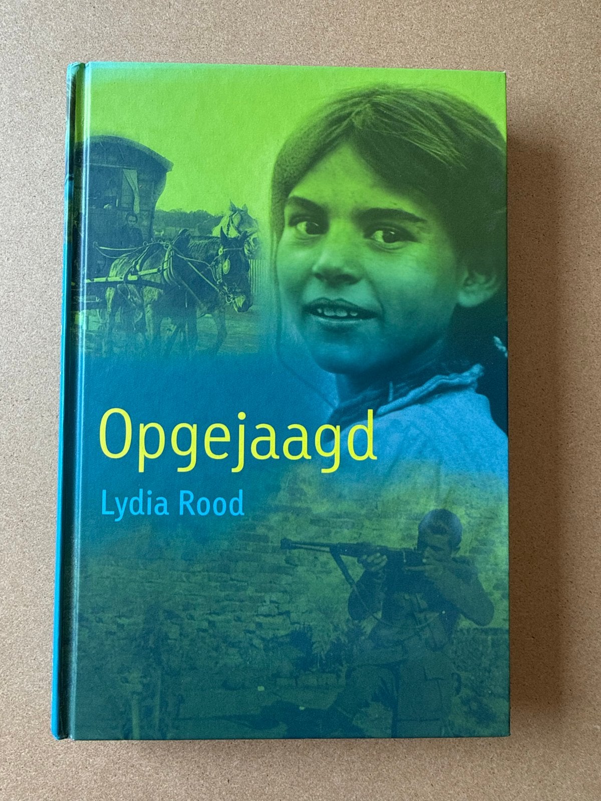 Opgejaagd - Lydia Rood (Tweede Wereldoorlog), Boeken, Ophalen of Verzenden, Tweede Wereldoorlog, Zo goed als nieuw, Algemeen